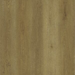 Plank - Pista Green